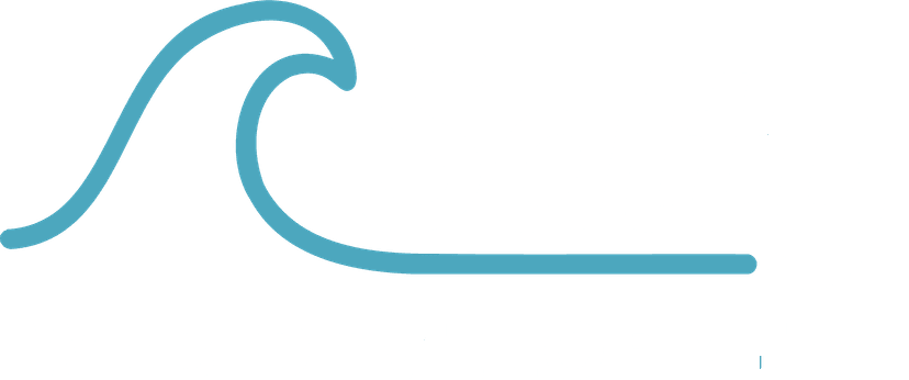 Salty Web Development Logo
